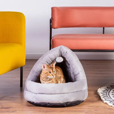 Graues, dreieckiges Katzenbett mit weichem Stoff und hängendem Spielball. Bengal-Katze sitzt darin. Möbel im Hintergrund: gelber Sessel, orangefarbene Bank.