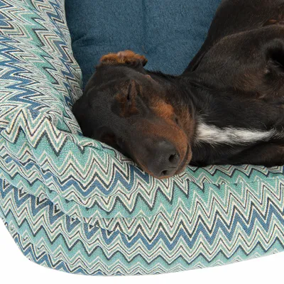 Zwartbruine hond liggend in een zacht hondenbed met blauwgroen zigzagpatroon en blauwe binnenkant, materiaal lijkt stof. Hond slaapt met kop op de rand van het bed.