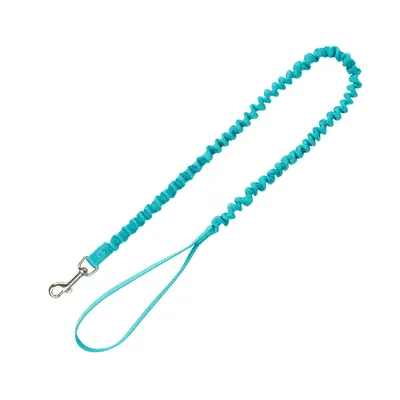 Turquoise dog lead with elastic section and metal carabiner hook, suitable for walks.