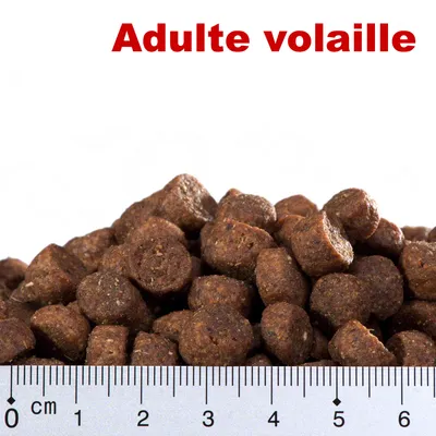 Croquettes avec texte « Adulte volaille » en rouge et règle indiquant la taille des croquettes de 0 à 6 cm.