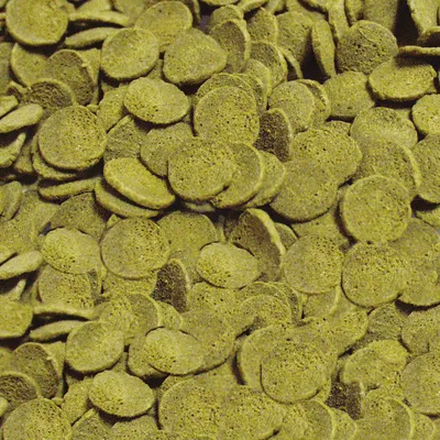 Nahaufnahme von grünen, runden Futterpellets. Keine weiteren Informationen sichtbar.