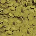 sera Wels-Chips Nature