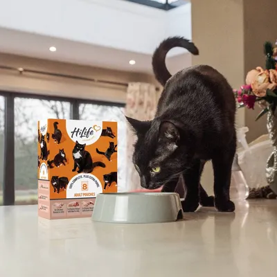 Black cat eating from a bowl next to a box of HiLife adult pouches, showing the product in use and packaging with images of cats.