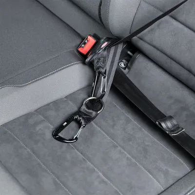 Pet safety belt with carabiner, attached to a car seat. Black nylon strap and metal ring visible.