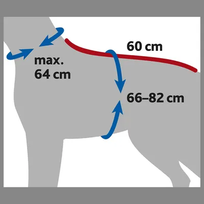 Schéma de mesures sur un chien : tour de cou max. 64 cm, longueur du dos 60 cm, tour de poitrail 66–82 cm.