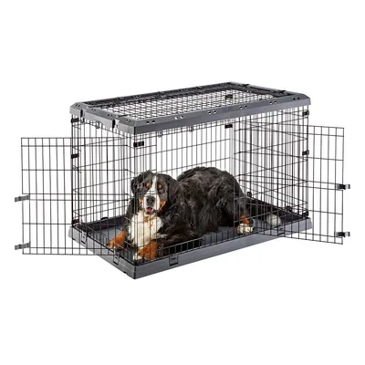 Hund in einem schwarzen Metallkäfig mit zwei offenen Türen, geeignet für Transport oder Ruhebereich.