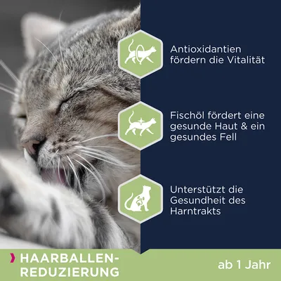 Текст на немецком: Antioxidantien fördern die Vitalität, Fischöl fördert eine gesunde Haut & ein gesundes Fell, Unterstützt die Gesundheit des Harntrakts, HAARBALLENREDUZIERUNG ab 1 Jahr