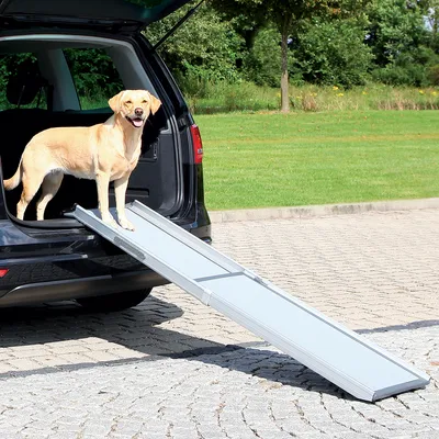 Hond staat op een uitgeschoven, lichtgrijze hondenloopplank van metaal die vanuit de kofferbak van een auto naar de grond loopt. Product toont gebruik van de loopplank.