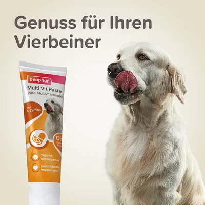 beaphar Multi Vit Paste mit L-Carnitin, täglicher Vitamingenuss, unterstützt das Wohlbefinden, 0% Zuckerzusatz. Genuss für Ihren Vierbeiner.