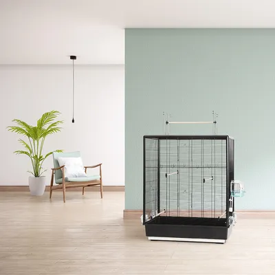 Zwarte vogelkooi met zitstok, voederbak en traliedeuren, getoond in een moderne ruimte met houten vloer en groene muur.