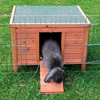 Wooden small animal house with green roof and ramp, surrounded by metal fence. Grey rabbit leaves the house via the ramp.