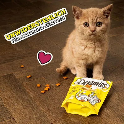 Dreamies Katzensnacks in gelber Verpackung. Text: Unwiderstehlich für Katzen und Kätzchen. Katze neben Snacks auf Holzboden, Herzsymbol sichtbar.