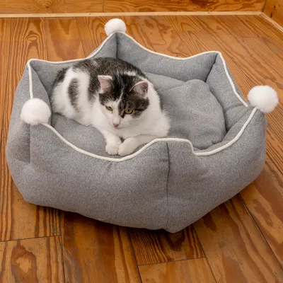 Graues Katzenbett mit weicher Polsterung und weissen Pompons an den Ecken. Katze liegt entspannt im Bett auf einem Holzboden.