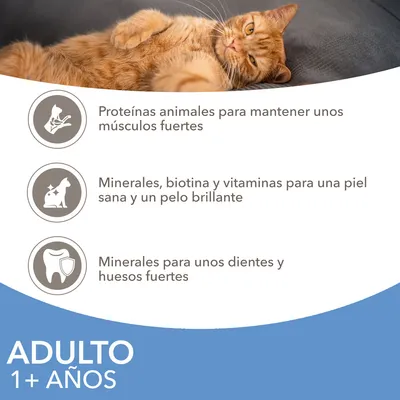 Proteínas animales para músculos fuertes, minerales, biotina y vitaminas para piel sana y pelo brillante, minerales para dientes y huesos fuertes. Adulto 1+ años.