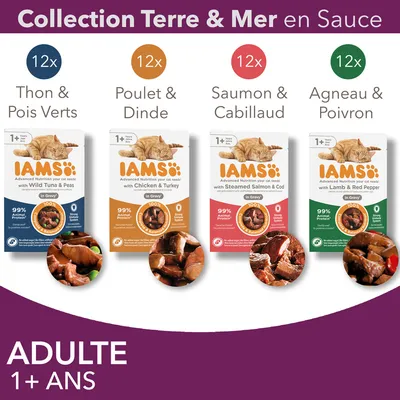 IAMS Collection Terre & Mer en sauce pour chats adultes 1+ ans : 12x thon et pois verts, 12x poulet et dinde, 12x saumon et cabillaud, 12x agneau et poivron. 99 % protéines animales.