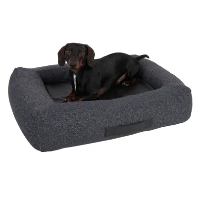 Dog lying on a dark grey dog bed with padded edges and a black lying surface.