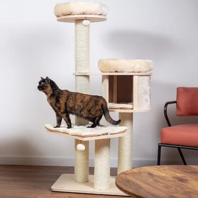 Kratzbaum mit mehreren Ebenen, Sisalstämmen und gepolsterten Liegeflächen. Eine Katze steht auf einer der Plattformen.