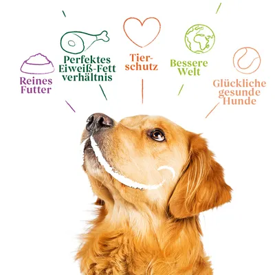 Reines Futter, perfektes Eiweiß-Fett-Verhältnis, Tierschutz, bessere Welt, glückliche gesunde Hunde. Hund darunter abgebildet.