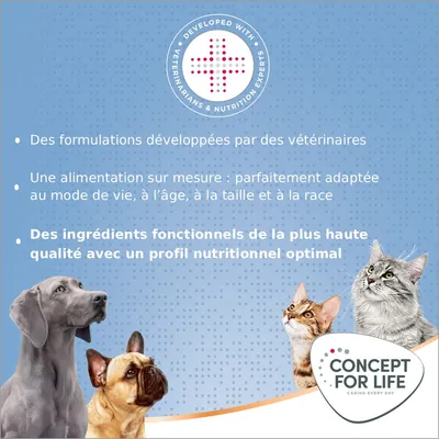 Concept for Life Medium Junior pour chien