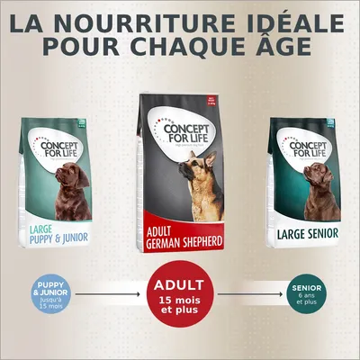 Trois sacs Concept for Life : Large Puppy & Junior jusqu’à 15 mois, Adult German Shepherd dès 15 mois, Large Senior dès 6 ans. Texte : La nourriture idéale pour chaque âge.