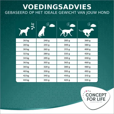 Voedingsadvies Concept for Life: dagelijkse hoeveelheid hondenvoer per gewicht, 26–44 kg, variërend van 240 g tot 535 g. Tabel met drie kolommen voor verschillende activiteitsniveaus.