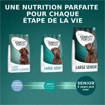Concept for Life Large Senior pour chien
