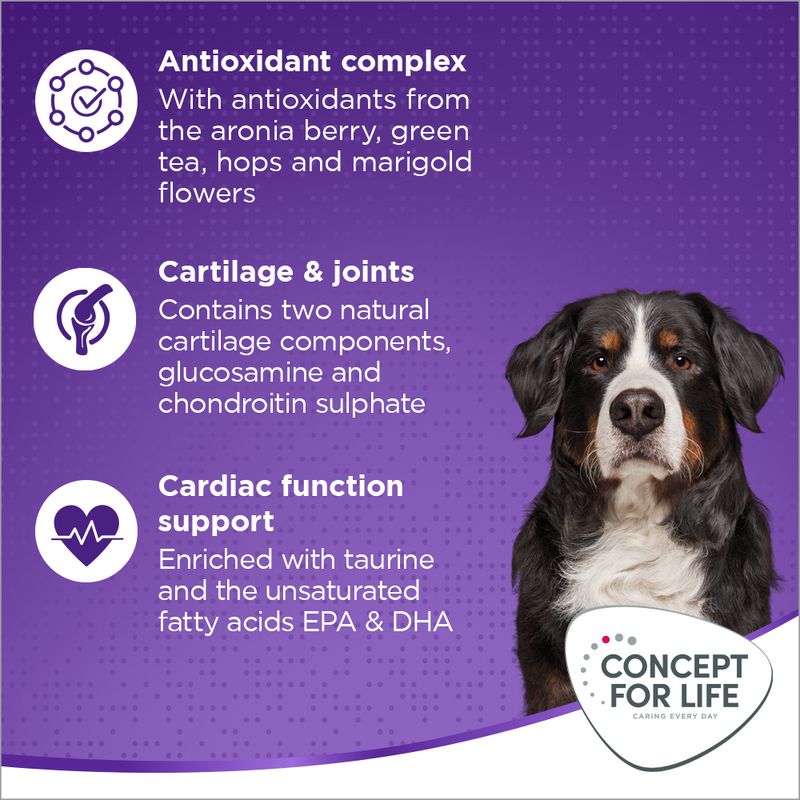 Concept for Life X-Large Adult Crocchette per cani