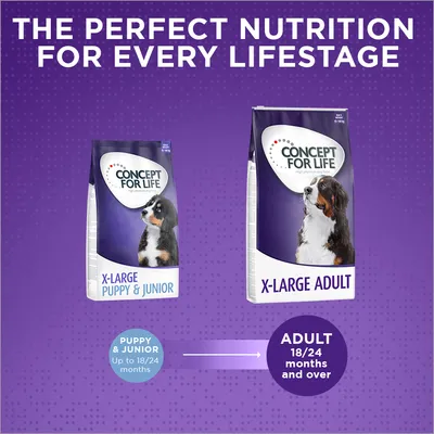 Due confezioni di Concept for Life: X-Large Puppy & Junior e X-Large Adult. Testo visibile: 'Puppy & Junior up to 18/24 months', 'Adult 18/24 months and over'.
