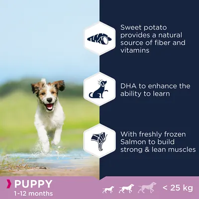 Product features: sweet potato for fibre and vitamins, DHA to support learning, freshly frozen salmon for strong muscles. Suitable for puppies aged 1-12 months, under 25 kg.