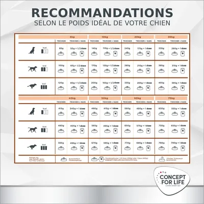 Tableau de recommandations Concept for Life : quantités d’alimentation sèche et humide pour chiens selon poids idéal, de 5 à 70 kg. Inclut valeurs kcal et pictogrammes repas/eau.