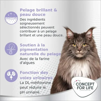 Pelage brillant & peau douce, soutien à la pigmentation naturelle du pelage avec farine d'algues, fonction des voies urinaires. Concept for Life. Texte en français (fr_BE).