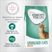 Concept for Life Sterilised Cats saumon pour chat