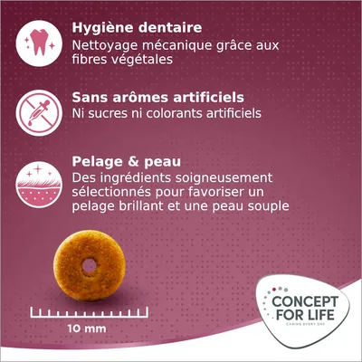 Hygiène dentaire, sans arômes artificiels, pelage & peau. Croquette Concept for Life 10 mm. Nettoyage mécanique, sans sucres ni colorants, ingrédients pour pelage brillant et peau souple.