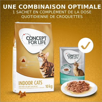 Sachet et sac Concept for Life pour chats, texte visible : « Une combinaison optimale – 1 sachet en complément de la dose quotidienne de croquettes », croquettes et pâtée sur une assiette.
