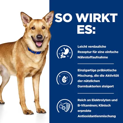 So wirkt es: Leicht verdauliche Rezeptur für einfache Nährstoffaufnahme, präbiotische Mischung zur Förderung nützlicher Darmbakterien, reich an Elektrolyten und B-Vitaminen mit Antioxidantien.