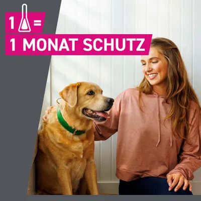 Frontline® TRI-ACT Hunde S (5 - 10 kg)