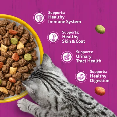 Cat food in tray, next to it text: Supports Healthy Immune System, Healthy Skin & Coat, Urinary Tract Health, Healthy Digestion.