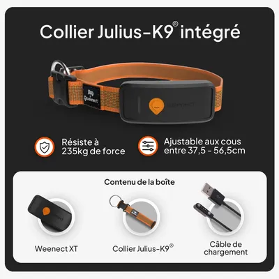 Collier Julius-K9 avec Weenect XT, résistant jusqu'à 235 kg, réglable pour un diamètre du cou de 37,5 à 56,5 cm. Contenu de la livraison : Weenect XT, collier Julius-K9, câble de chargement.