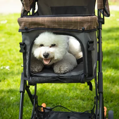 Chien blanc assis dans une poussette pour animaux, structure en métal et tissu gris avec capote marron, vue de face sur pelouse verte.