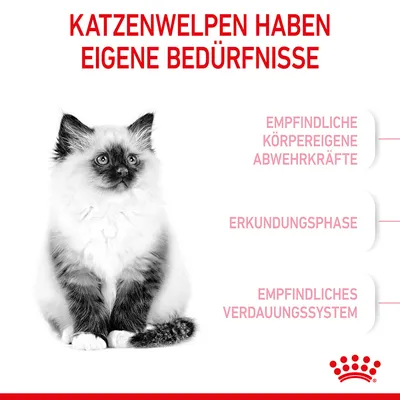Texte en allemand : KATZENWELPEN HABEN EIGENE BEDÜRFNISSE, EMPFINDLICHE KÖRPEREIGENE ABWEHRKRÄFTE, ERKUNDUNGSPHASE, EMPFINDLICHES VERDAUUNGSSYSTEM. Chaton illustré. Marque Royal Canin.