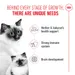 Royal Canin Mother & Babycat