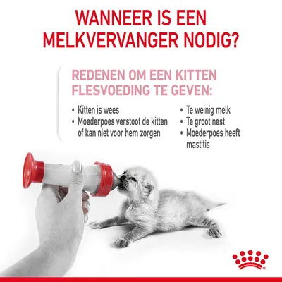 Wanneer is een melkvervanger nodig? Redenen om een kitten flesvoeding te geven: wees, verstoten, moeder kan niet zorgen, te weinig melk, te groot nest, mastitis.