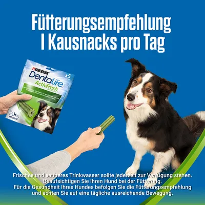Fütterungsempfehlung: 1 Kausnack pro Tag. Frisches Trinkwasser bereitstellen, Hund beaufsichtigen, tägliche Bewegung beachten. Produkt: Purina Dentalife ActivFresh Medium.