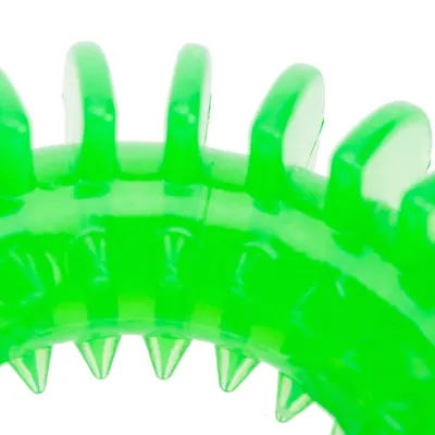 Groen kunststofspeelgoed met scherpe noppen en ringvormig design, geschikt voor interactief spel.