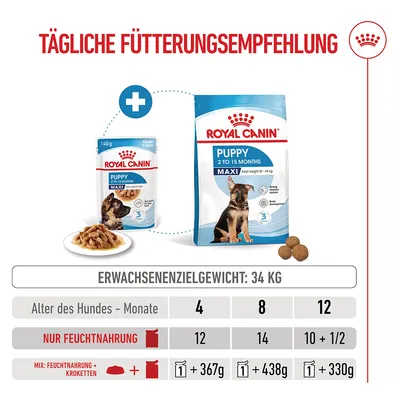 Royal Canin Maxi Puppy in Soße