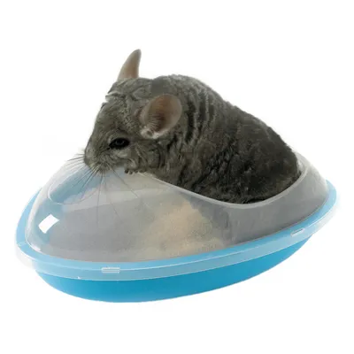 Baignoire Wellness pour rongeur