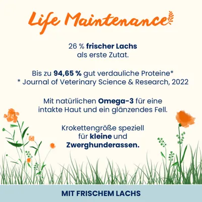 Almo Nature Life Maintenance Adult Lachs & Reis Small