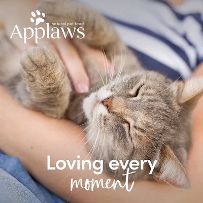 Applaws natural pet food. Loving every moment.