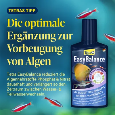 Tetra EasyBalance : Le complément optimal pour prévenir la formation d’algues. Réduit le phosphate et le nitrate, prolonge la période entre les changements d’eau et les changements partiels d’eau. Tetra EasyBalance : Le complément optimal pour prévenir la formation d’algues. Réduit le phosphate et le nitrate, prolonge la période entre les changements d’eau et les changements partiels d’eau.