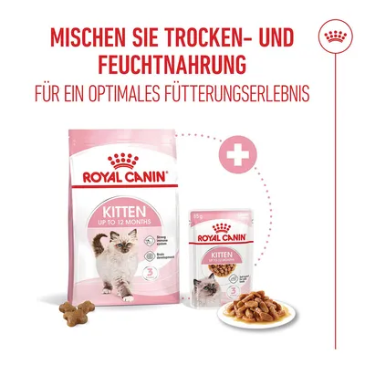 Royal Canin Kitten in Soße